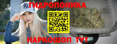 гидропоника Краснознаменск