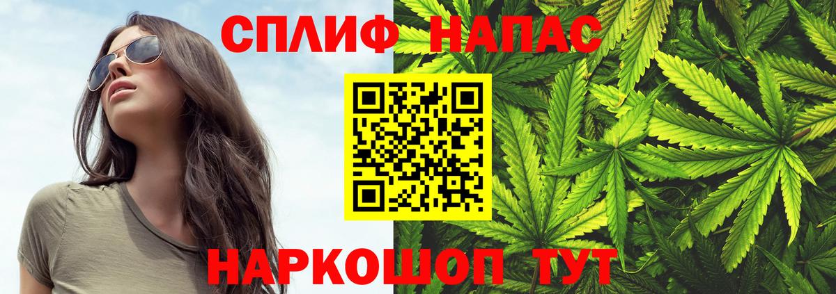Бошки Шишки MAZAR Кропоткин